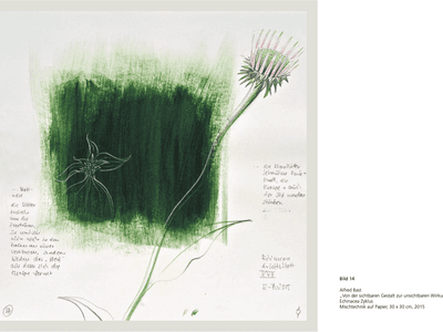 Illustration einer Echinacea-Blume mit einem langen Stiel und einer angedeuteten grünen Fläche im Hintergrund, flankiert von handschriftlichen Notizen in deutscher Sprache.