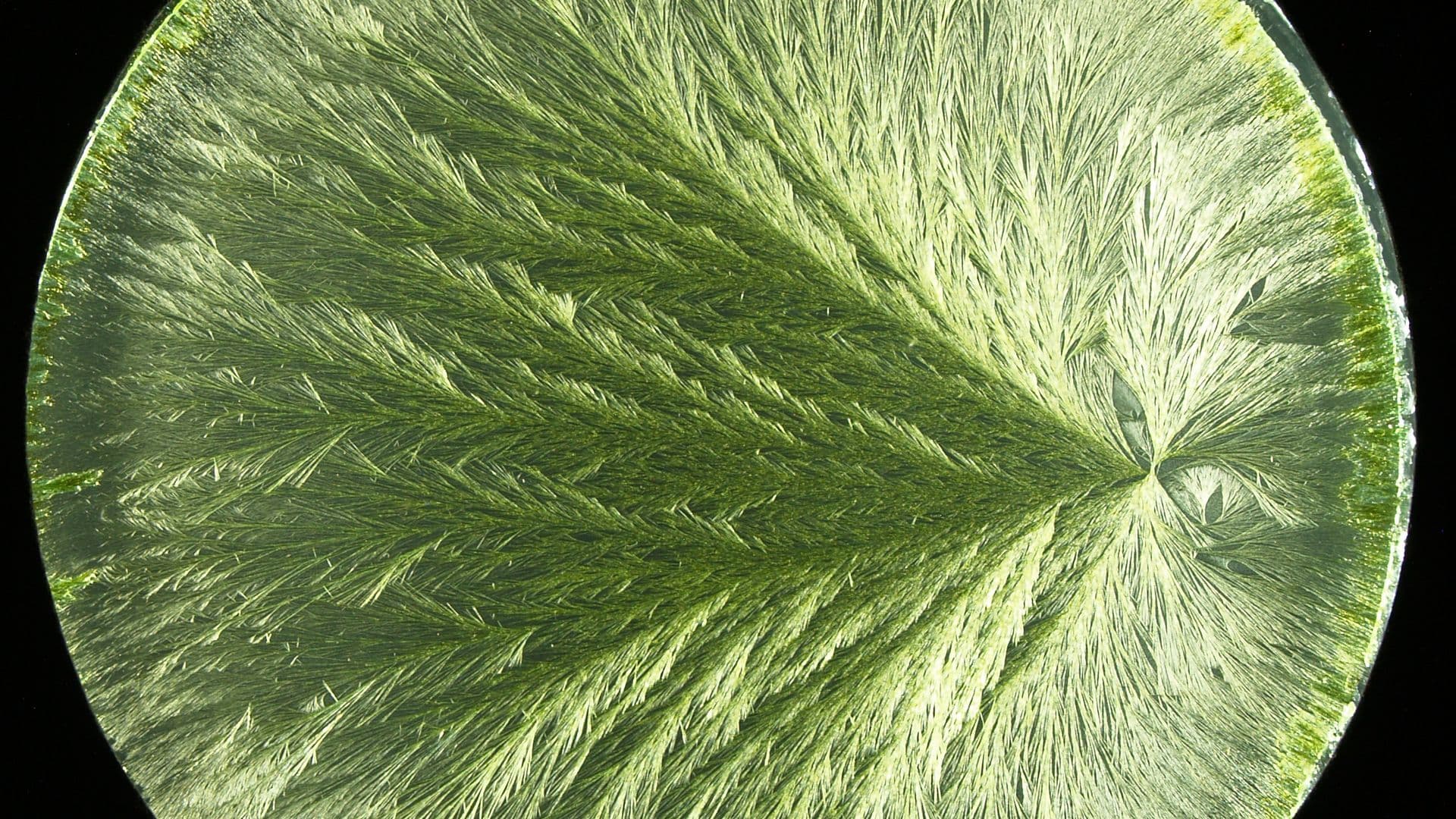 Kupferchlorid-Kristallisation bei Ceres