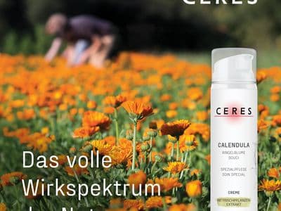 Calendula Info Feld Sp De