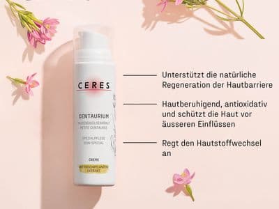 Centaurium Info Sp De