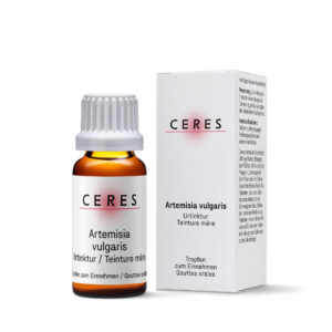 Artemisia vulgaris Urtinktur